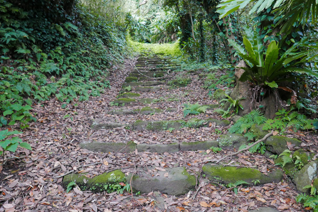 Aogashima path